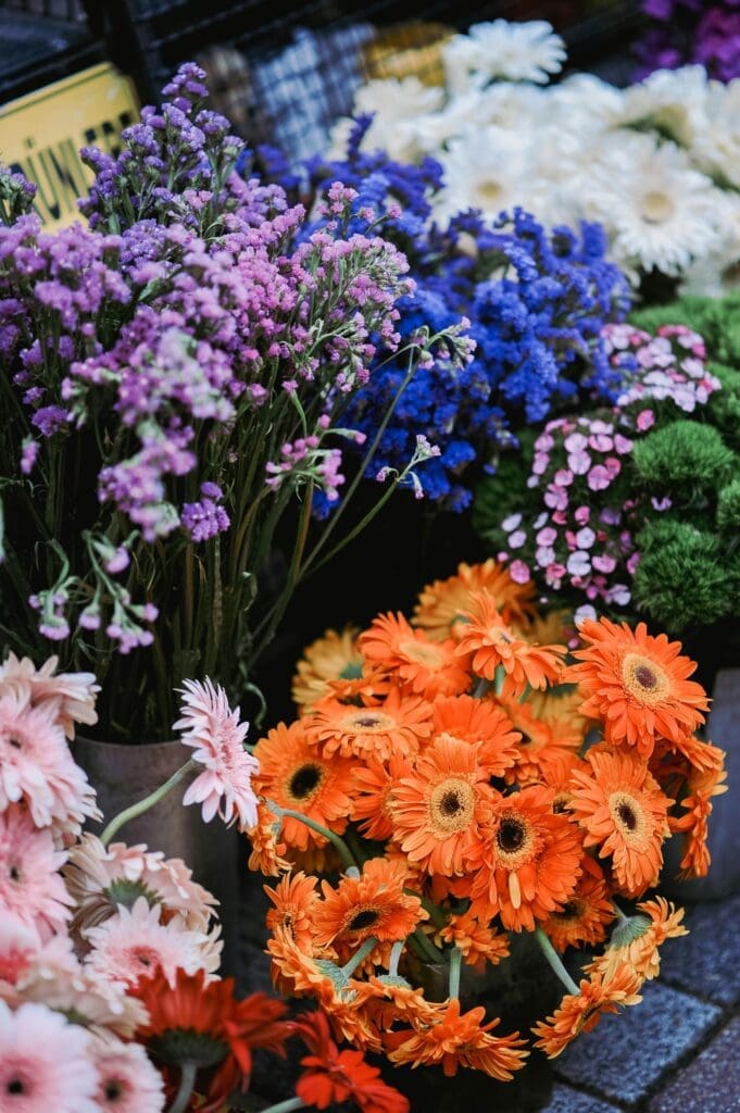 Colorful tropical flowers representing natural harmony and gentle renewal with the light system tls